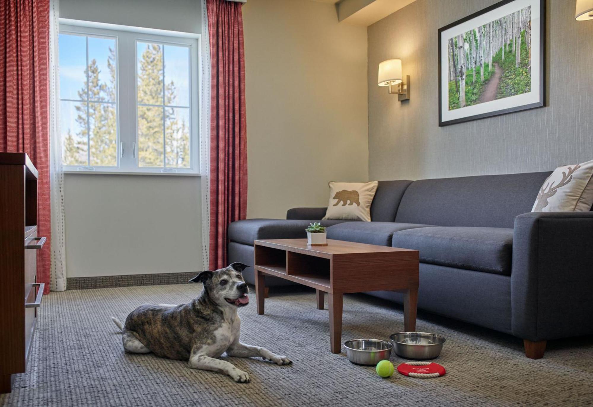 Residence Inn By Marriott Breckenridge Ngoại thất bức ảnh